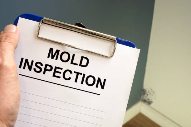 Best Crawl Space Mold Remediation  in Coldstream, KY